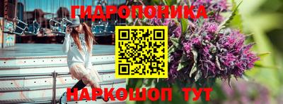 ПСИЛОЦИБИНОВЫЕ ГРИБЫ Абакан