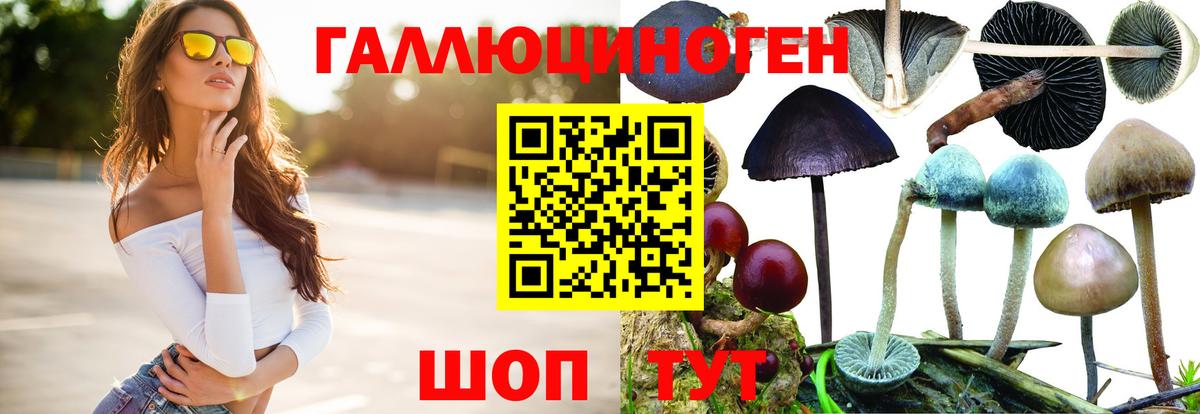 Псилоцибиновые грибы Psilocybine cubensis  Псилоцибиновые грибы Psilocybine cubensis  Россия  Вход с VPN 