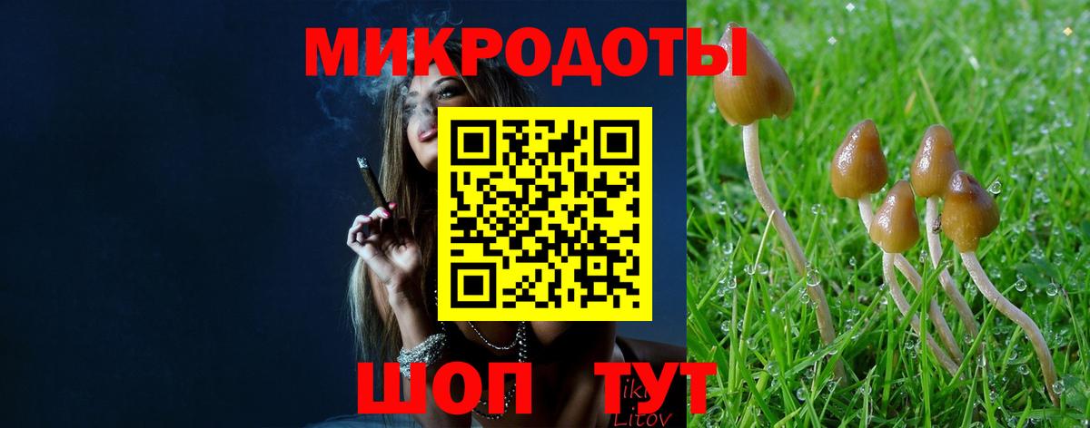 Псилоцибиновые грибы MAGIC MUSHROOMS Россия